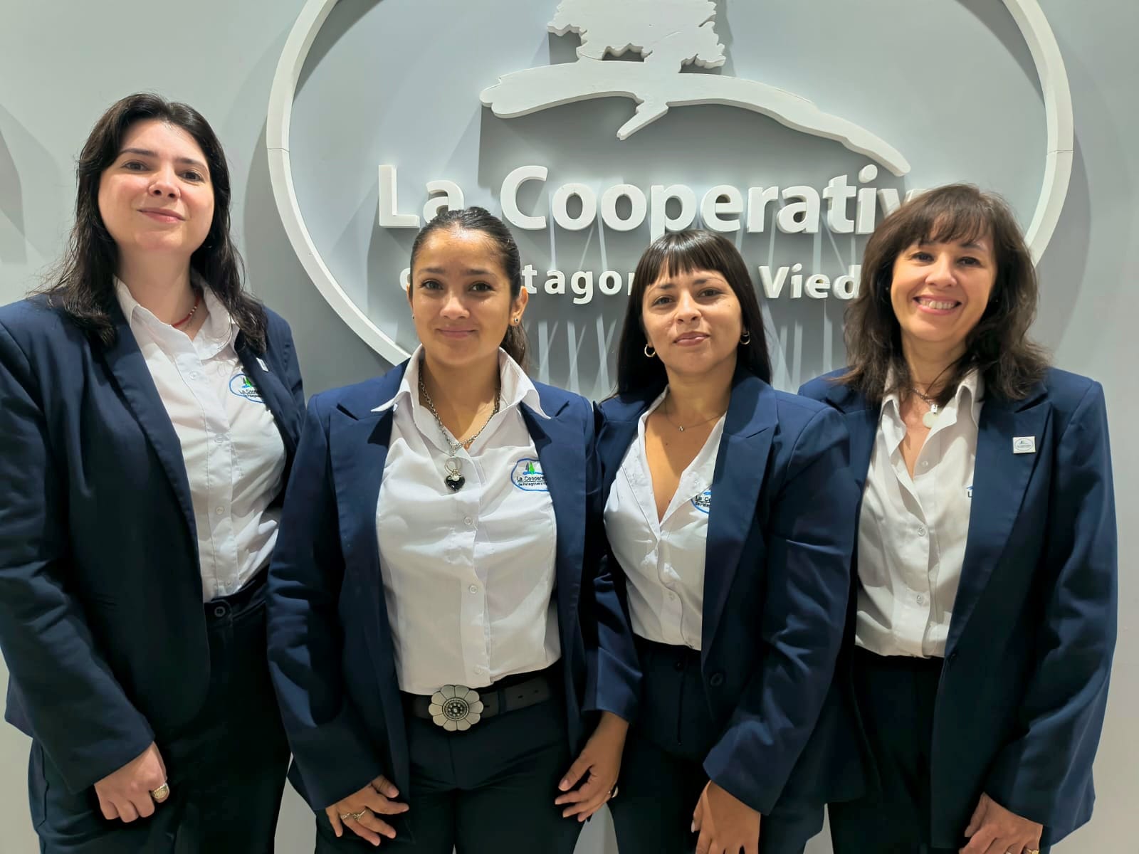 Equipo profesional institucional